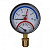 Термоманометр радиальный 10 бар 80 мм TIM
